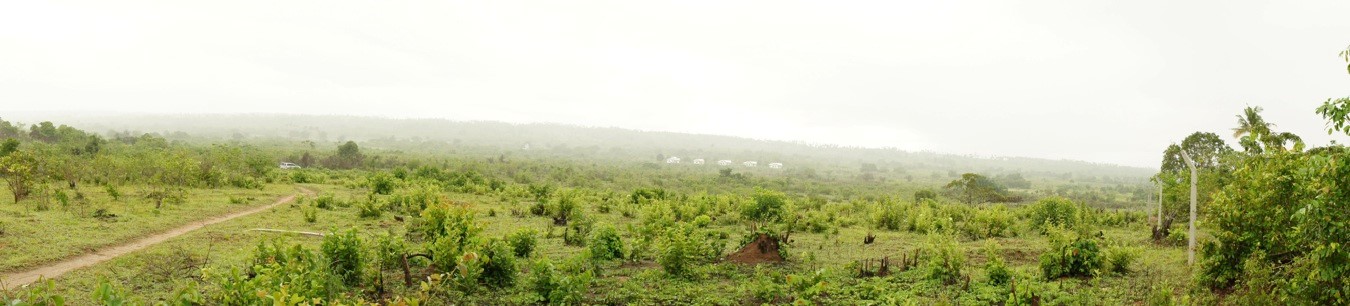 Larchfield Site Larchfield Site